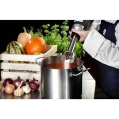 Mixeur Plongeant Professionnel Broyage Mixage 350 W 16 000 T/Min Pied 250Mm Inox