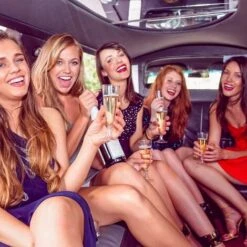 48 Pcs Jeu De Verres à Champagne, Flûtes à Vin En Plastique, Réutilisables Et Incassables, Gobelets Empilables, Parfaits Pour Les Fêtes, Mariages Et Anniversaires - 150ml -Krups || DeLonghi Soldes 68114410 4